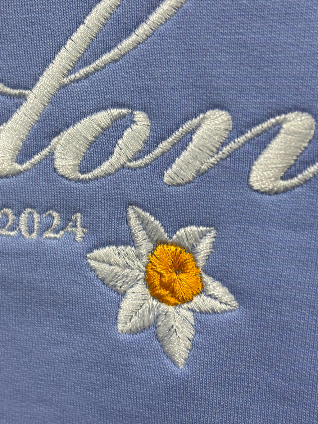 Daisy Floral Embroidered Oversized T-Shirt Light Blue