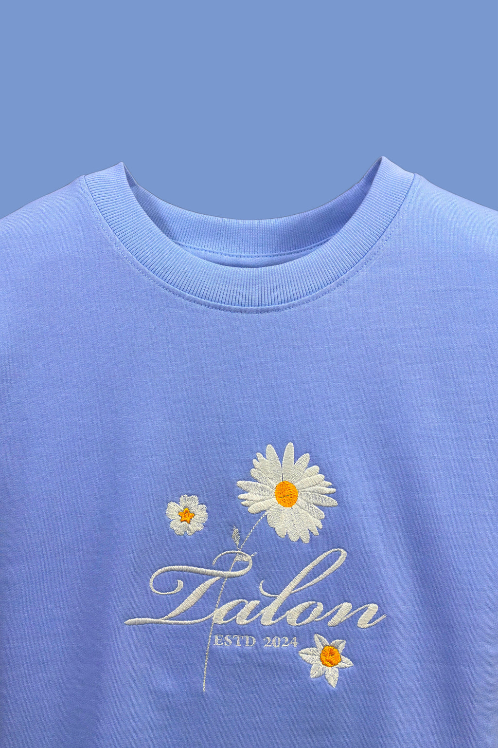 Daisy Floral Embroidered Oversized T-Shirt Light Blue