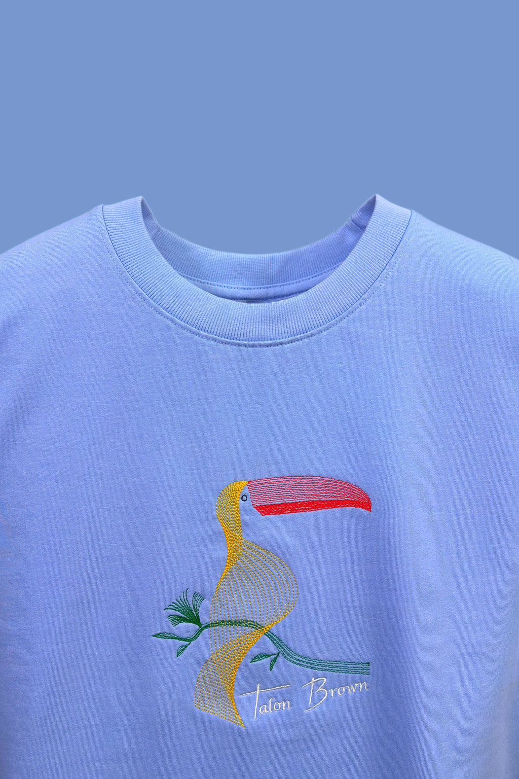 Toucan Bird Embroidered Oversized T-Shirt Light Blue