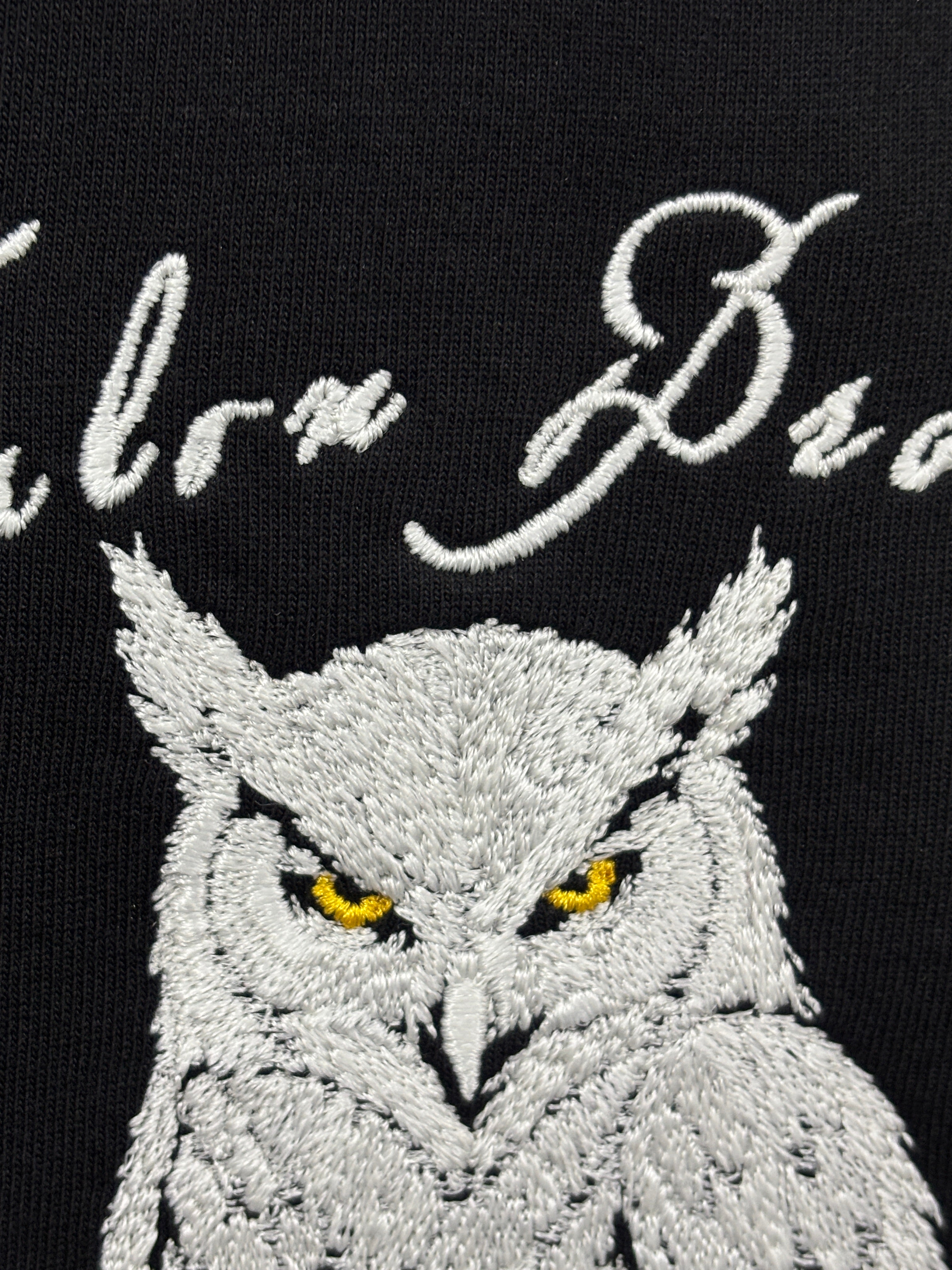 Glowing Owl Black Oversized T-Shirt