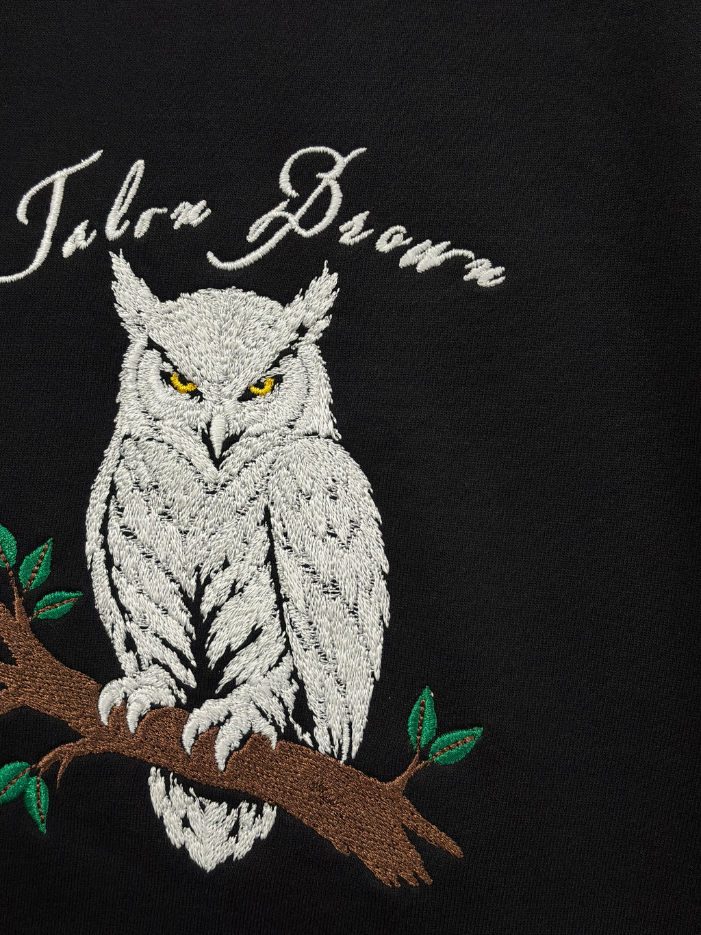 Glowing Owl Black Oversized T-Shirt